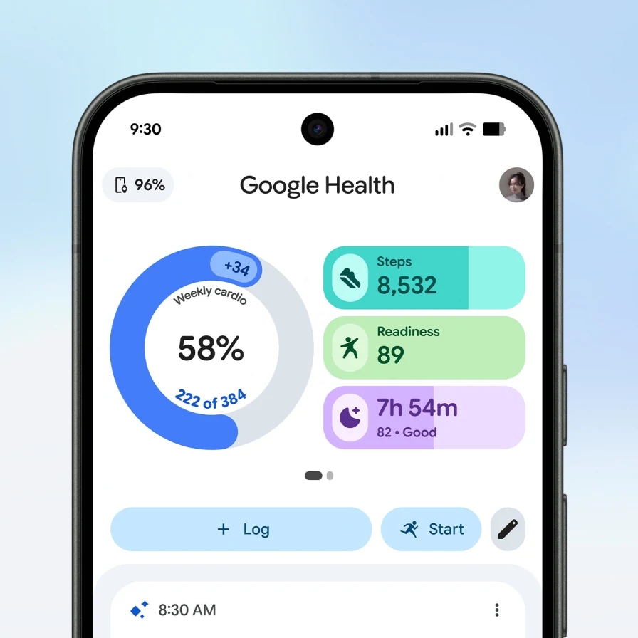 Fitbit Air